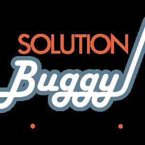 SolutionBuggy Business Consultant